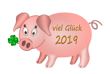 Viel Glück 2019, Glücksschwein mit Kleeblatt, weißer Hintergrund