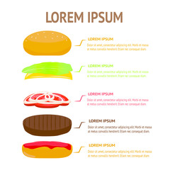 Food Infographic bacgkround