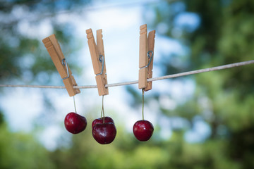 whimsical image of bing cherries on a clothes line. There is a soft focus green and blue background . The fruit is hanging with a clothes pin.  - Powered by Adobe