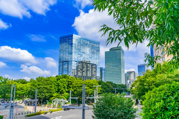 Obraz na płótnie Canvas 都市風景　緑の公園と高層ビル群