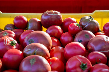 Tomatoes