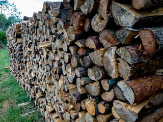 Stacked Firewood