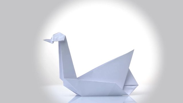 Exposition of white paper origami swan. White bright background.