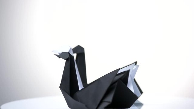 Three swans origami. Black and white paper swans on white isolated background.
