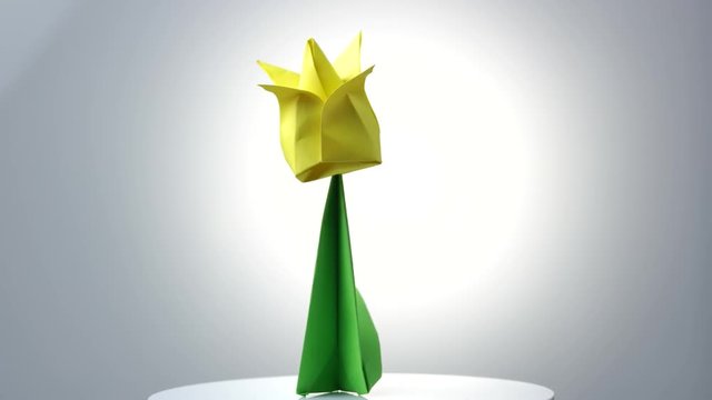 Origami flowers over white background. Yellow flower with green stem. Origami paper exposition.