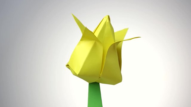 Yellow origami flower close up. White isolated background.