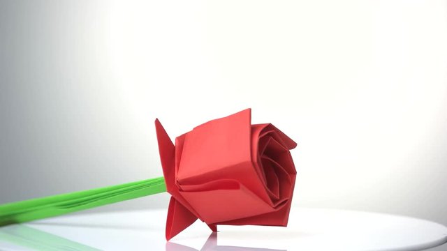 Red rose flower close up. Paper origami exposition. White isolated background.