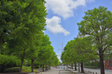三笠公園周辺の遊歩道