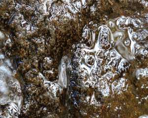 Transparent fresh spring water or a waterfall. Water on large stones. Take care of nature while...
