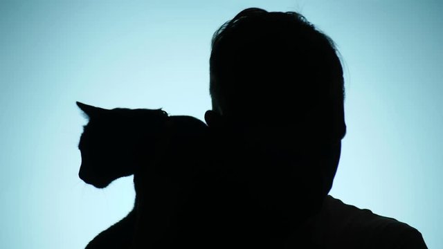color background. 4k, slow motion. shadow of a man. a lonely man gets in love with his cat.