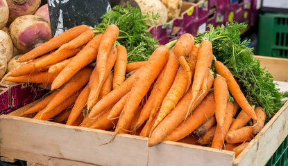 Carrots on market