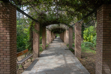 Obraz premium Walkway