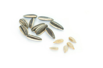 seed sunflower on white background.