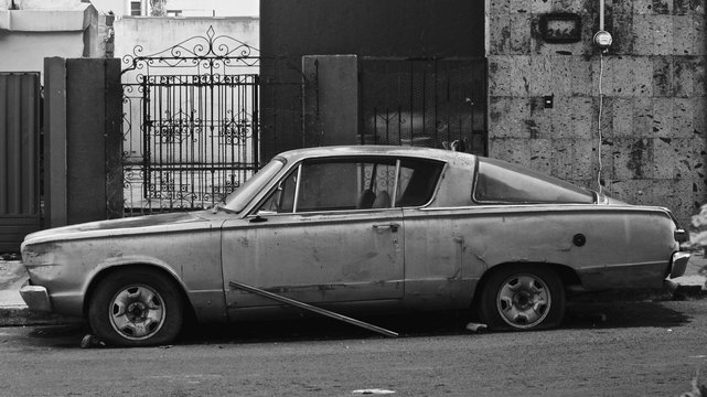 SONY DSC