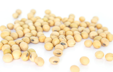 soy bean plant seed pile healthy vegetable food on white  background