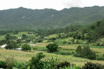 Fototapeta na wymiar paisajes joyabaj Quiche Guatemala