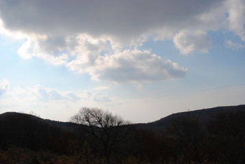 Deal's Gap/The Dragon/Cherohala Skyway 1