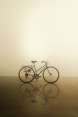 Fototapeta na wymiar Vintage Ladies Bicycle - Portrait 1