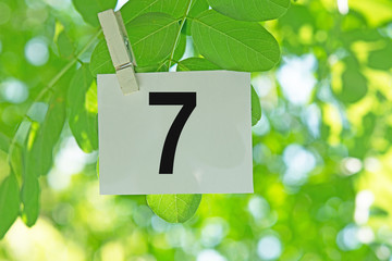 Number  7



