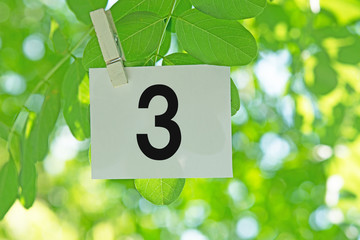 Number  3



