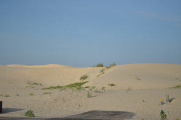 Fototapeta na wymiar Monahan's Sandhills State Park, TX Sand and grassy areas 