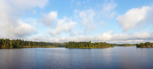 panorama of a forest lake