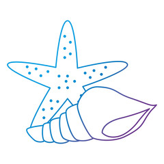 starfish with snail shell