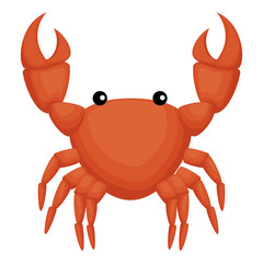 crab sea isolated icon