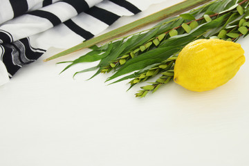 Jewish festival of Sukkot. Traditional symbols (The four species): Etrog, lulav, hadas, arava.