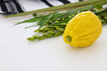 Jewish festival of Sukkot. Traditional symbols (The four species): Etrog, lulav, hadas, arava.