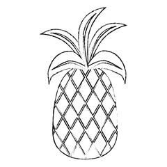 fresh pineapple fruit icon