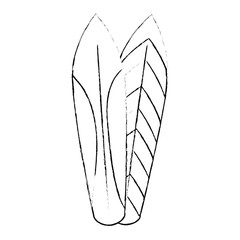 surfboards sport isolated icon