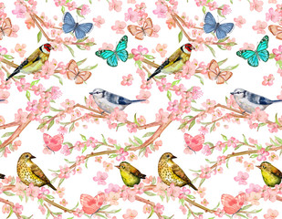 pretty seamless pattern with birds on twigs of flowering cherry and butterflies. watercolor painting