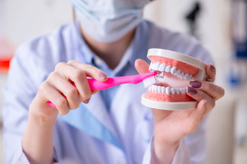 Woman dentist practicing work on tooth model