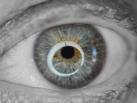 Black and white human eye with blue iris. Macro shoot.