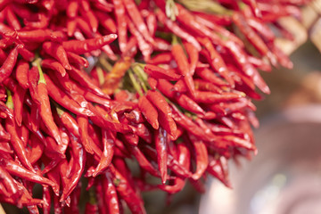 red hot chili peppers