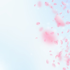 Sakura petals falling down. Romantic pink flowers gradient. Flying petals on blue sky square backgro