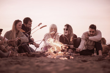 Group Of Young Friends Sitting By The Fire at beach