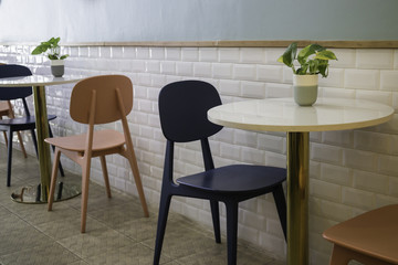 Indoor plant on coffee shop table