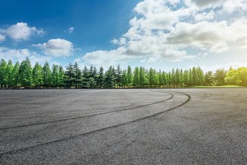Empty asphalt road and green forest landscape