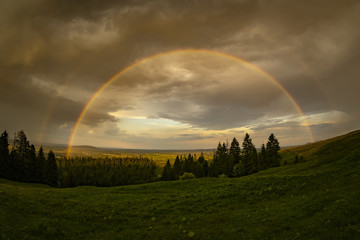 Beautiful rainbow after the rain at the edge of a forest. Double rainbow after the rain.