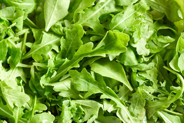 Fototapeta na wymiar Mix of variety, healthy and fresh green salad