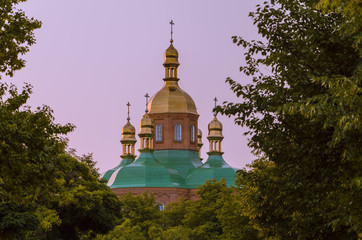 The dome of the church behind the branches of trees