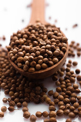 coriander seeds on a white background, essential oil