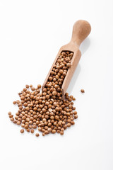 fragrant coriander seeds on a white background
