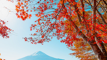 富士山と紅葉 3 