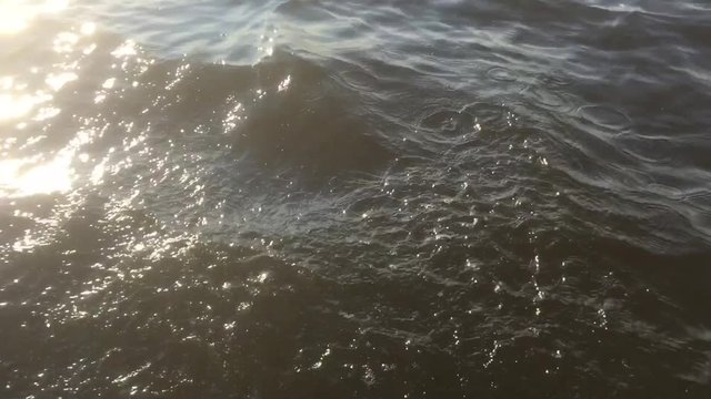 Whater Splashes in the sea