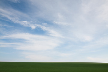 Fototapeta premium Minimal landscape width green meadow against the cloudy sky
