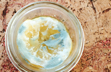 Mildew-covered sliced lemon in a transparent jar on the kitchen table. Closeup.