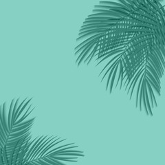 Fototapeta na wymiar Beautiful Palm Leaf Background. Vector Illustration
